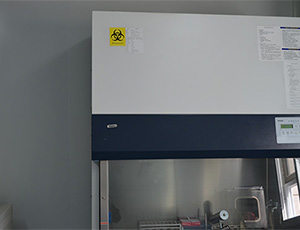 凈化實(shí)驗(yàn)室